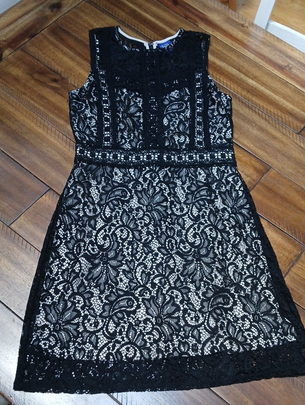Disney Beauty and the Beast Black Lace Overlay Dress (Size Medium)